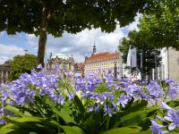 Dresden