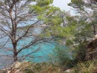 natuur - Mallorca