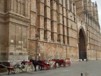 Palma