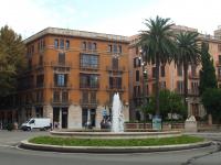 Palma