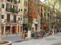 Palma