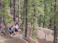 wandelingen in La Palma