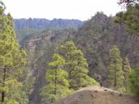 Prachtige natuur in La Palma