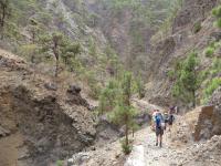 wandelen in La Palma