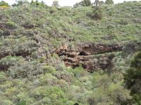 wandelen in La Palma