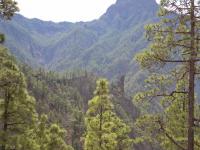 Prachtige natuur in La Palma