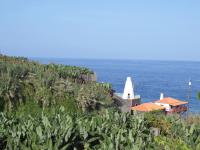 Bananen in elke hoek in La Palma